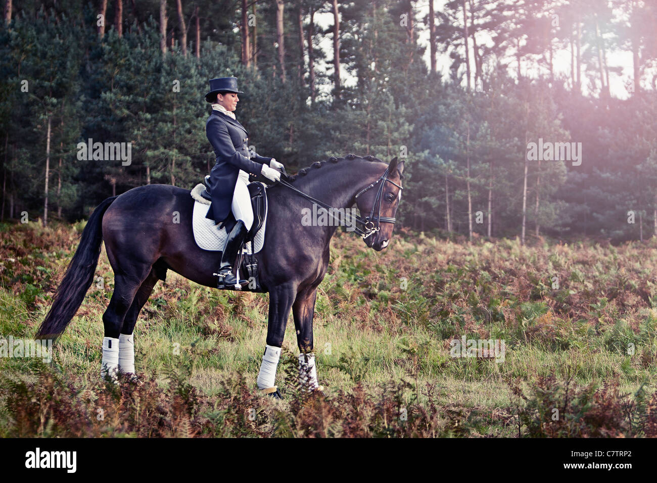 Bellissima foto di donna in abito rosa con il cavallo in posizione di foresta Foto Stock
