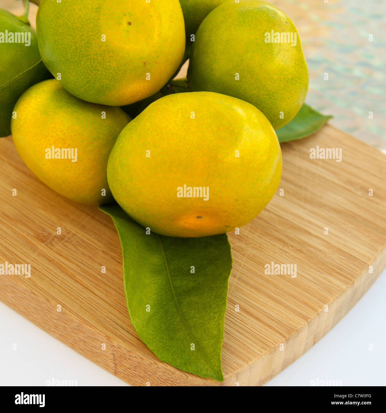 Verde-giallo mandarini branch Foto Stock