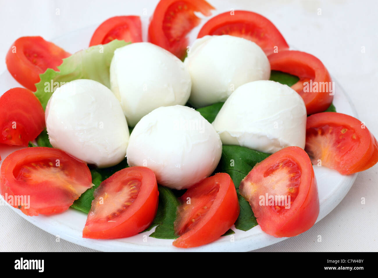 Pomodoro e mozzarella di bufala insalata Foto Stock