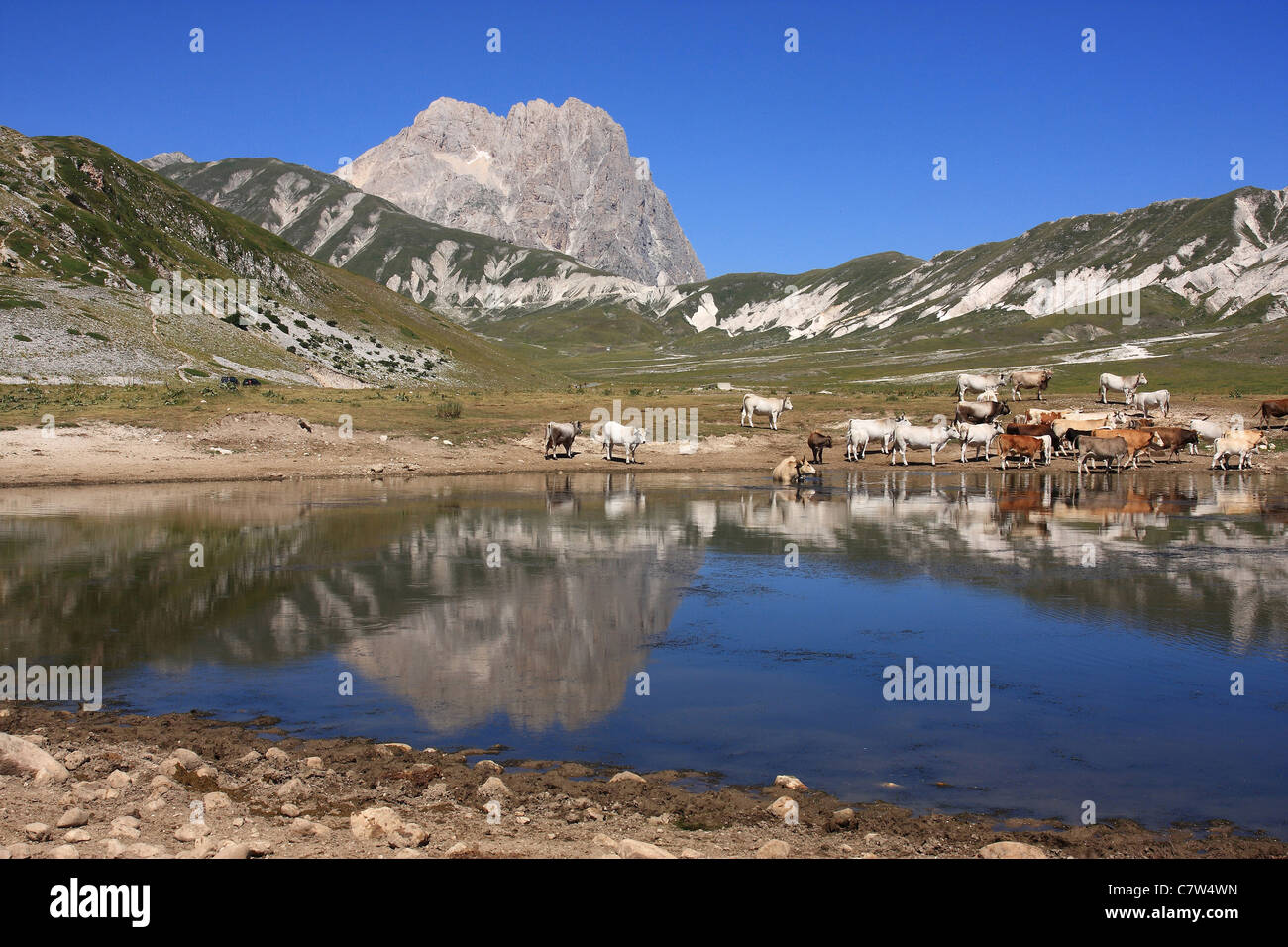 L'Italia, Abruzzo, Campo Imperatore pianura. Sullo sfondo il Corno Grande Mount, del Gran Sasso e Monti della Laga parco nazionale Foto Stock
