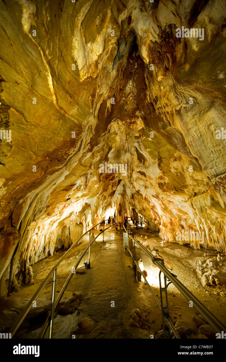 L'Italia, Liguria, Toirano, caverna Foto Stock