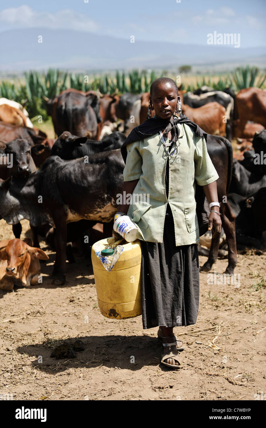 Una donna masai cercando dopo il bestiame, Meserani, Tanzania. Foto Stock