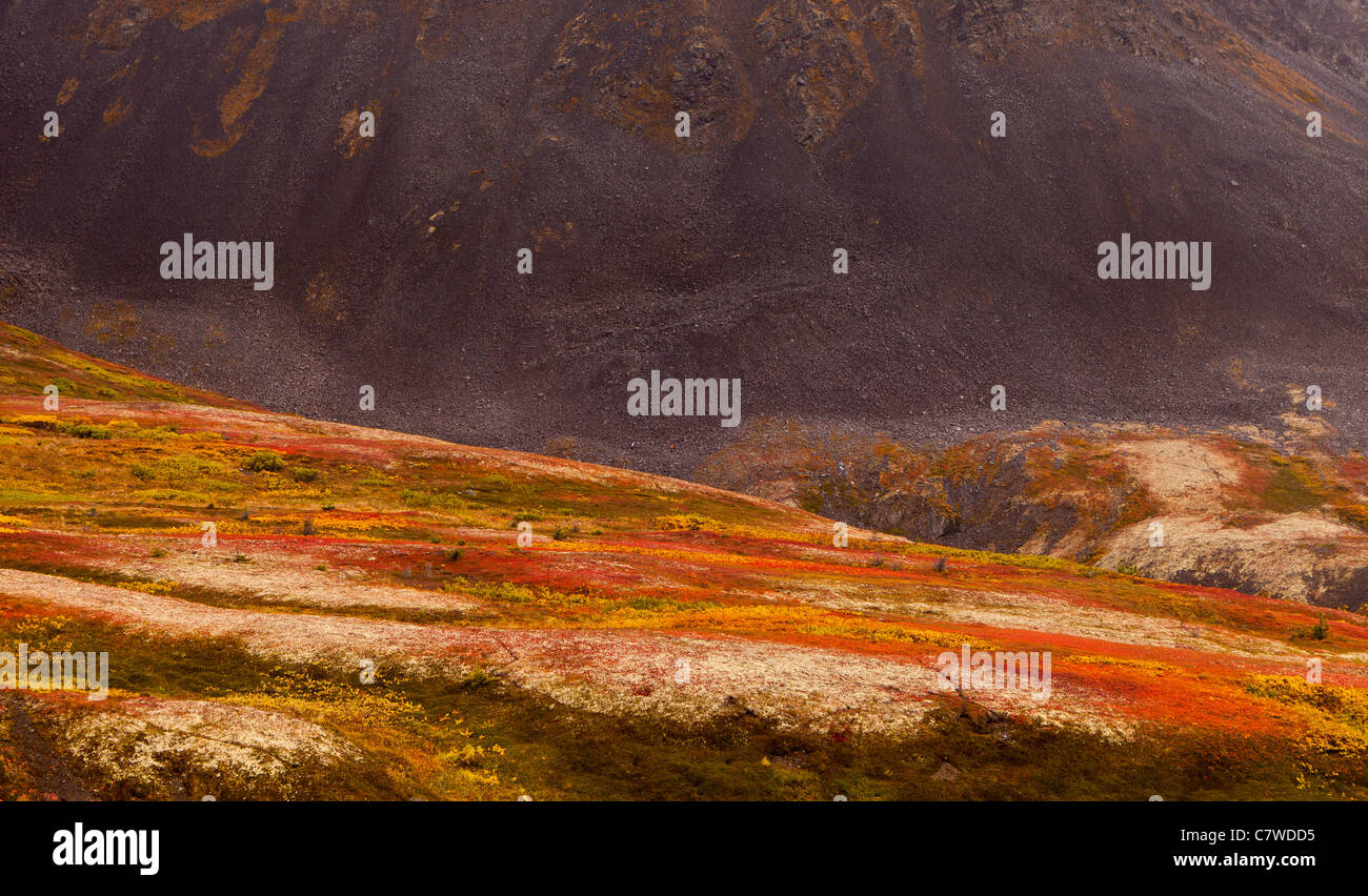 DENALI STATE PARK, Alaska, Stati Uniti d'America - Autunno tundra Kesugi sul crinale. Foto Stock