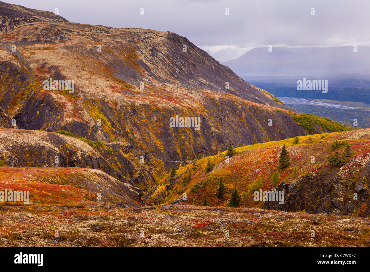 DENALI STATE PARK, Alaska, Stati Uniti d'America - Autunno tundra Kesugi sul crinale. Foto Stock