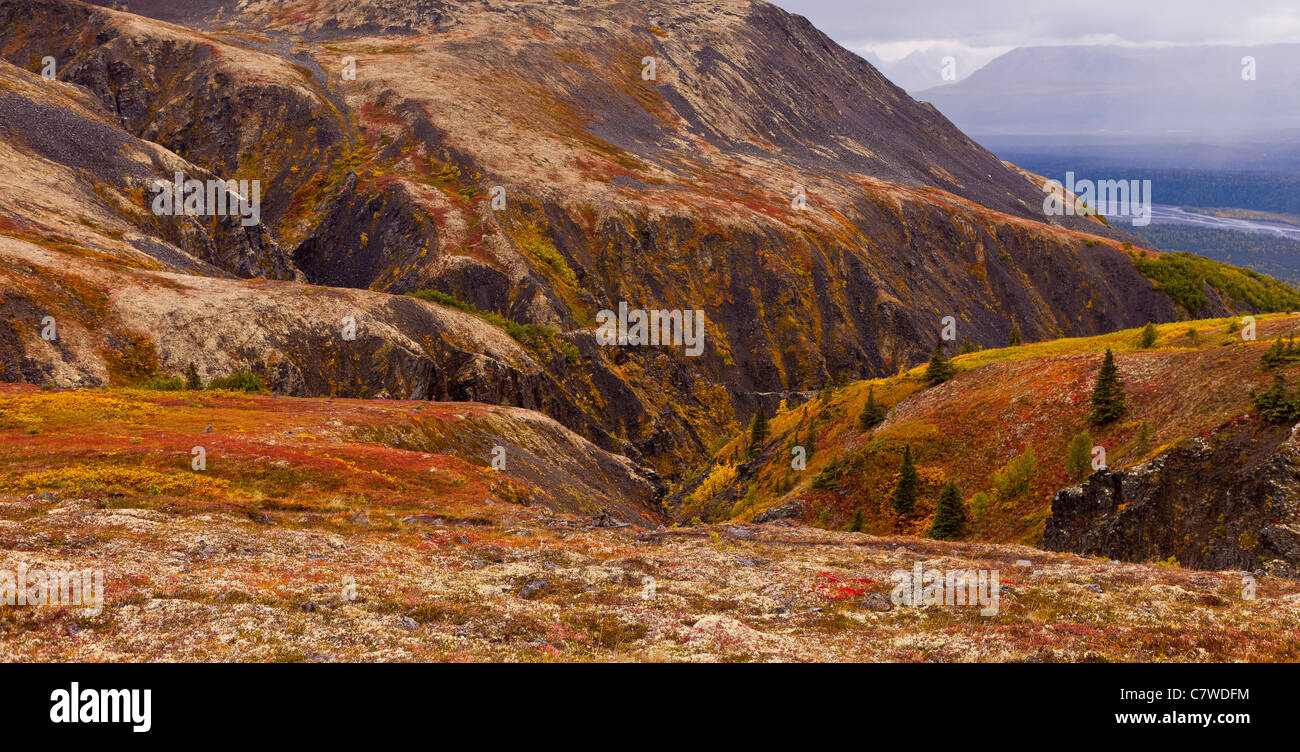 DENALI STATE PARK, Alaska, Stati Uniti d'America - Autunno tundra Kesugi sul crinale. Foto Stock