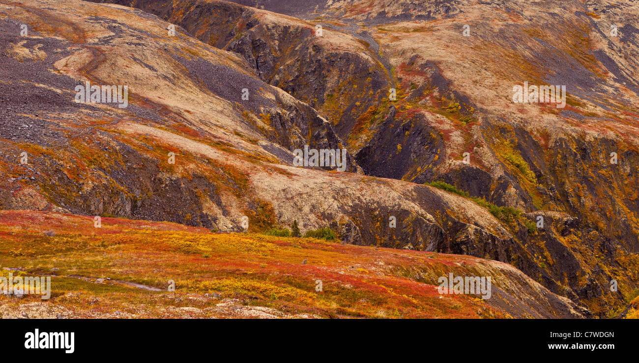 DENALI STATE PARK, Alaska, Stati Uniti d'America - Autunno tundra Kesugi sul crinale. Foto Stock