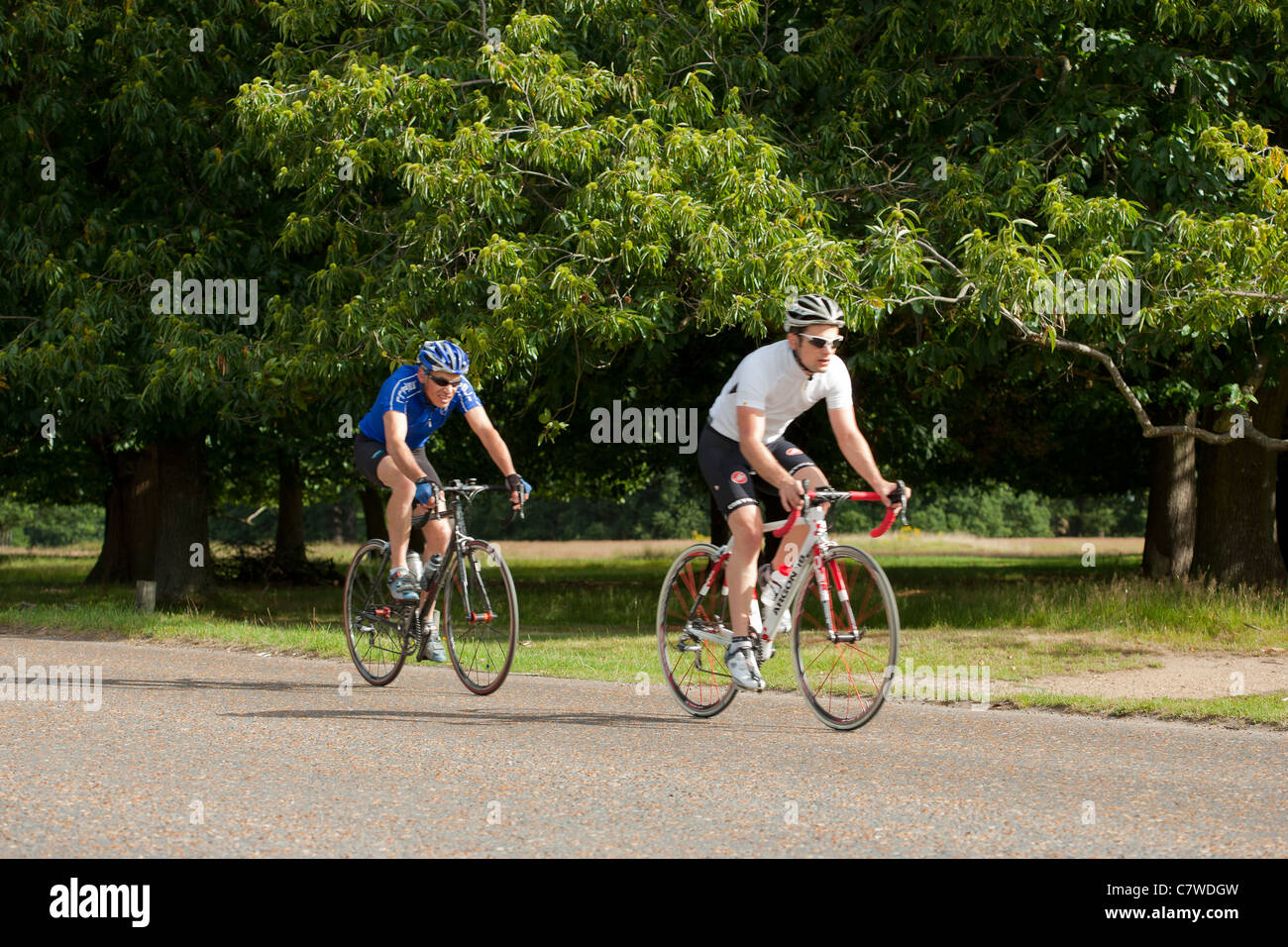 I ciclisti nel Parco di Richmond, Surrey Foto Stock