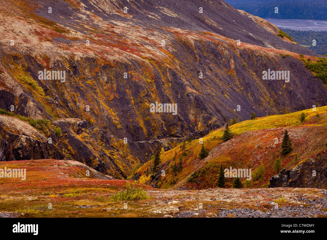 DENALI STATE PARK, Alaska, Stati Uniti d'America - Autunno tundra Kesugi sul crinale. Foto Stock