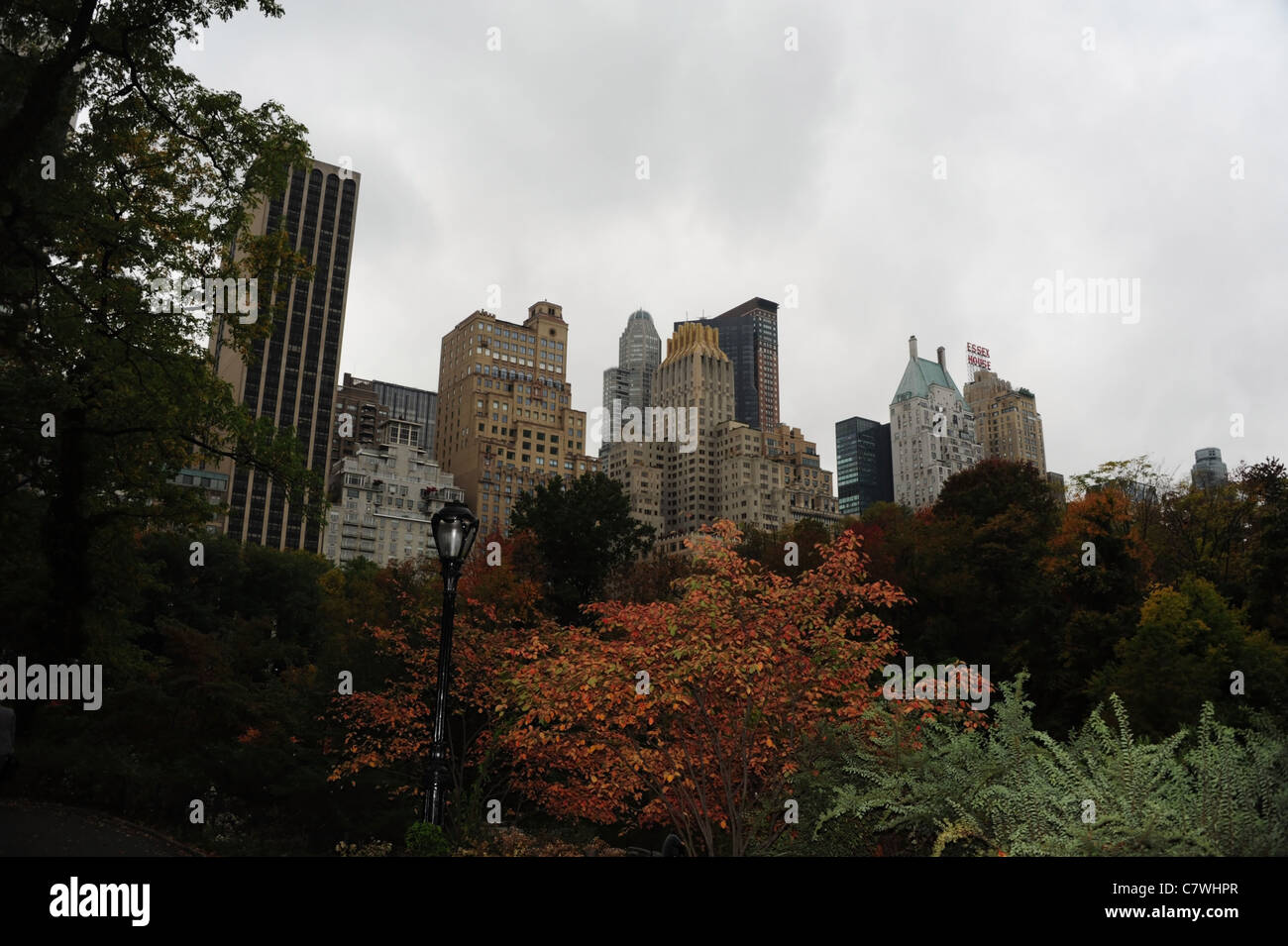 Cielo grigio piovoso vista dello skyline di grattacieli, ROSSO BROWN autunno alberi, arbusti e felci , East percorso di unità, al Central Park di New York City Foto Stock