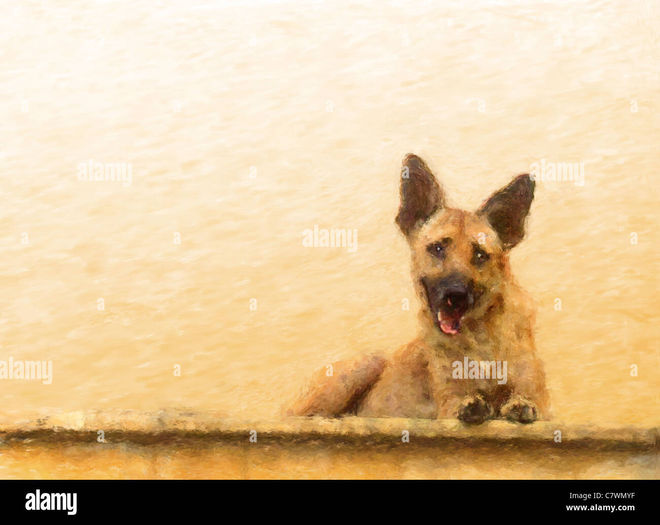 Dipinto ritratto di una giovane alsaziano cane trasversale giacente su una parete o un gradino superiore Foto Stock