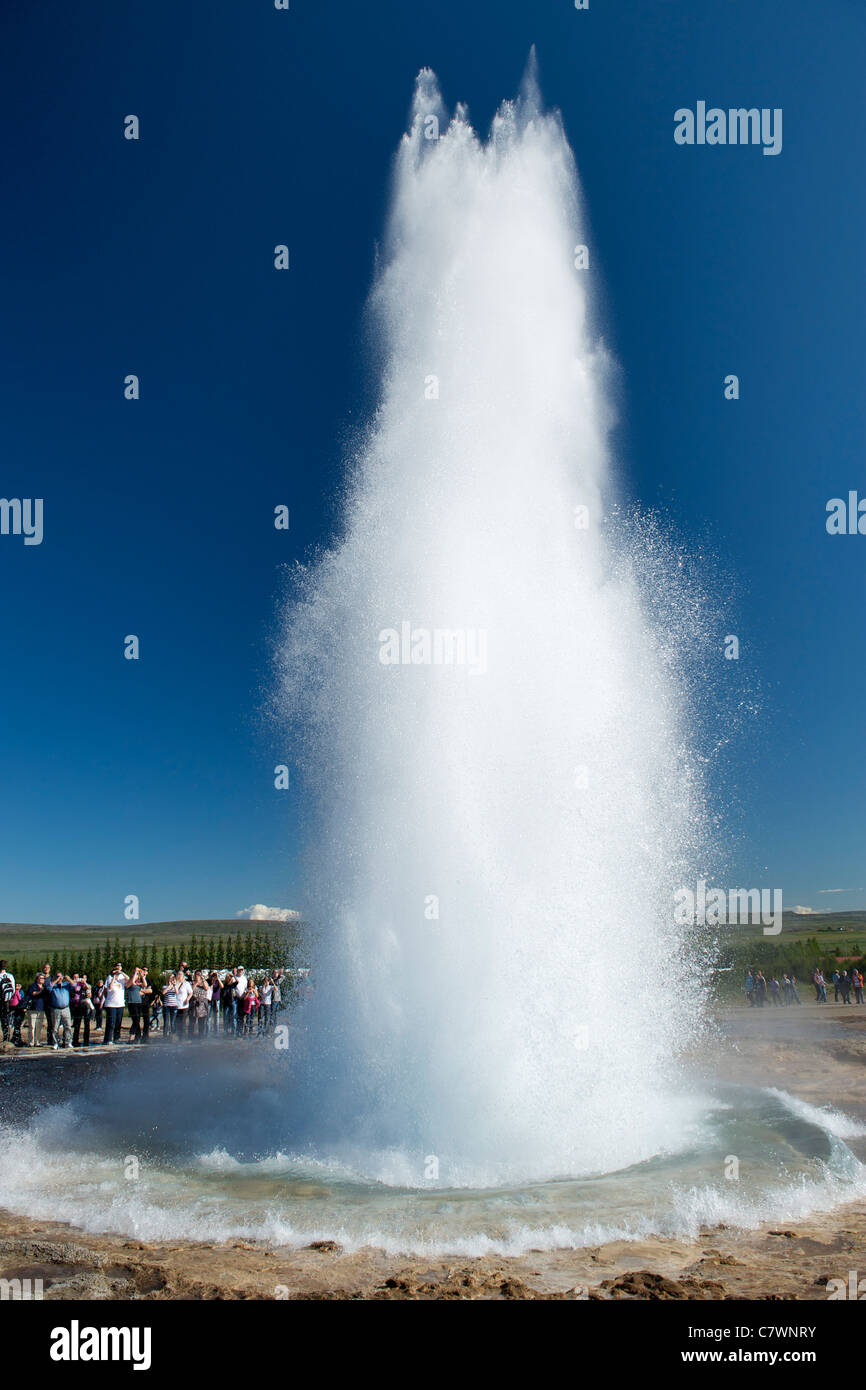 Strokkur geyser che erutta in Geysir, a sud-ovest dell'Islanda. Foto Stock