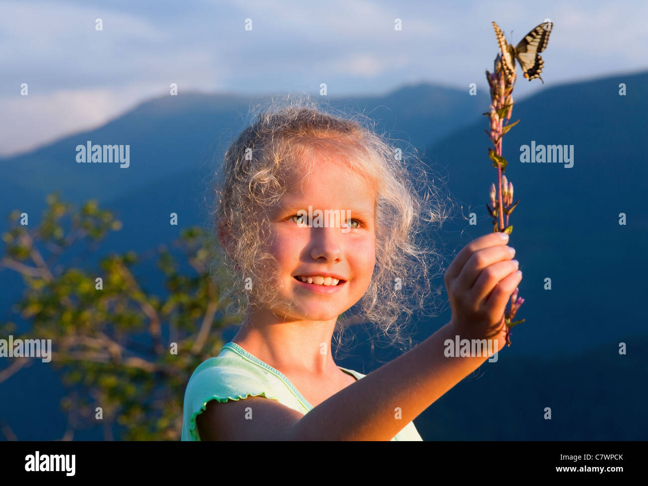 Piccolo bruciata dal sole ragazza caucasica in montagna l'ultima luce del tramonto ammirare su Giallo farfalla a coda di rondine Foto Stock