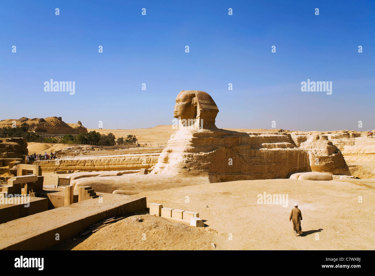 La Grande Sfinge di Giza Plateau del Cairo in Egitto Foto Stock