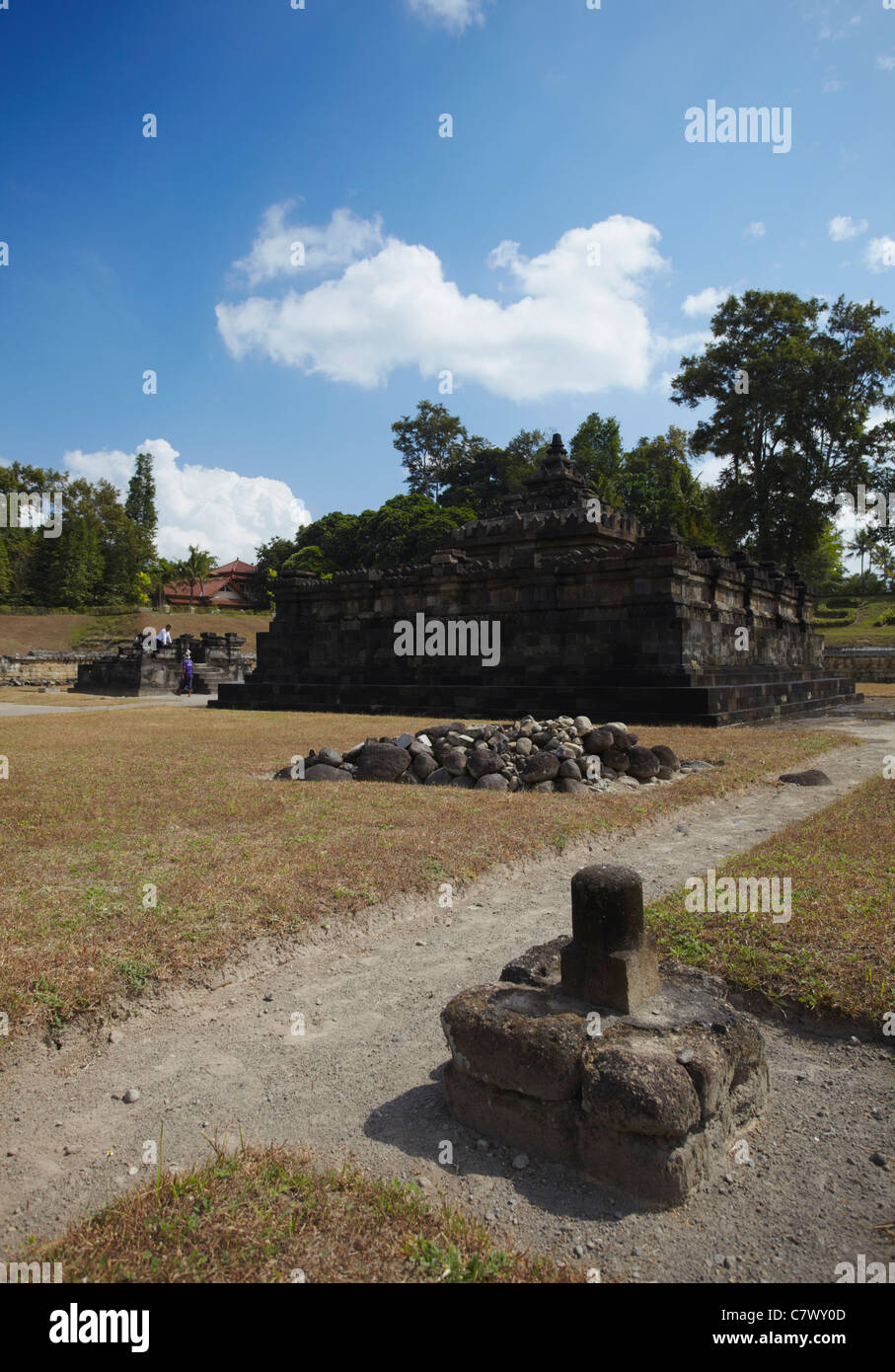 Tempio Sambisari, Prambanan (Patrimonio Mondiale dell'UNESCO), Java, Indonesia Foto Stock