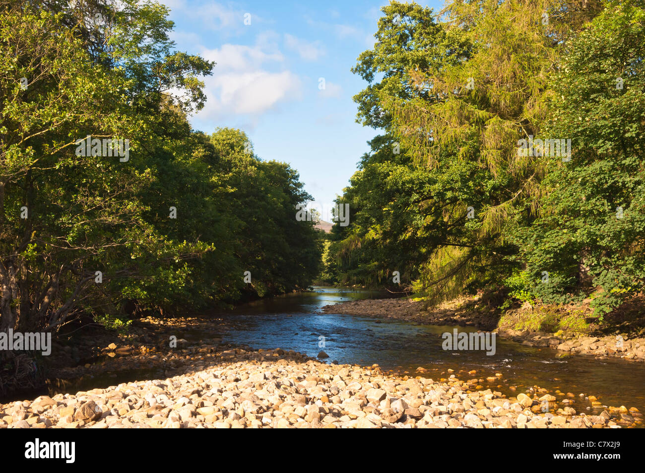 Il fiume Swale in basso nella riga Swaledale nel North Yorkshire , Inghilterra , Inghilterra , Regno Unito Foto Stock