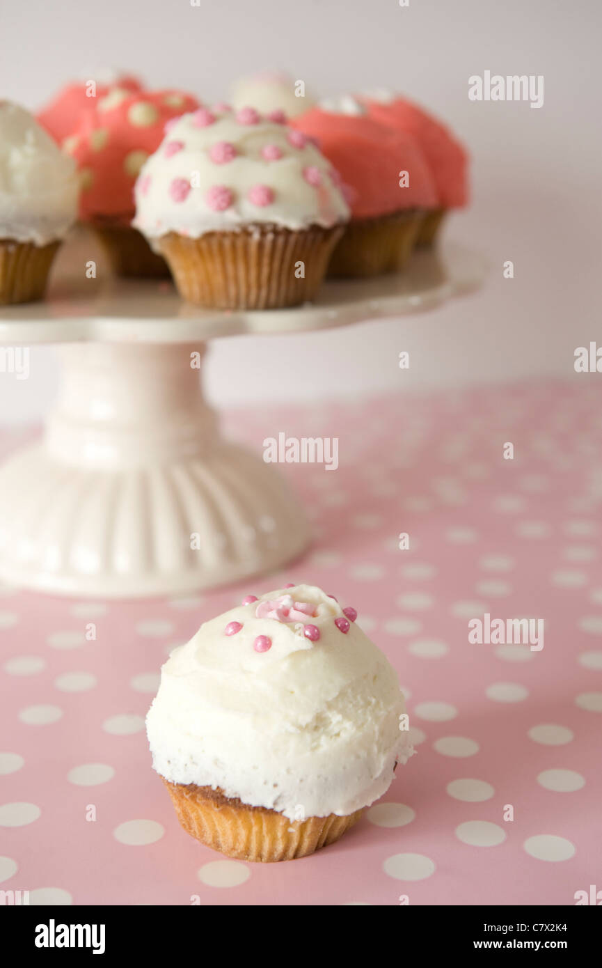 Tortine frosted rosa e bianco su una piastra di torta e polkadot rosa in primo piano con il bianco lo spazio editoriale in background Foto Stock