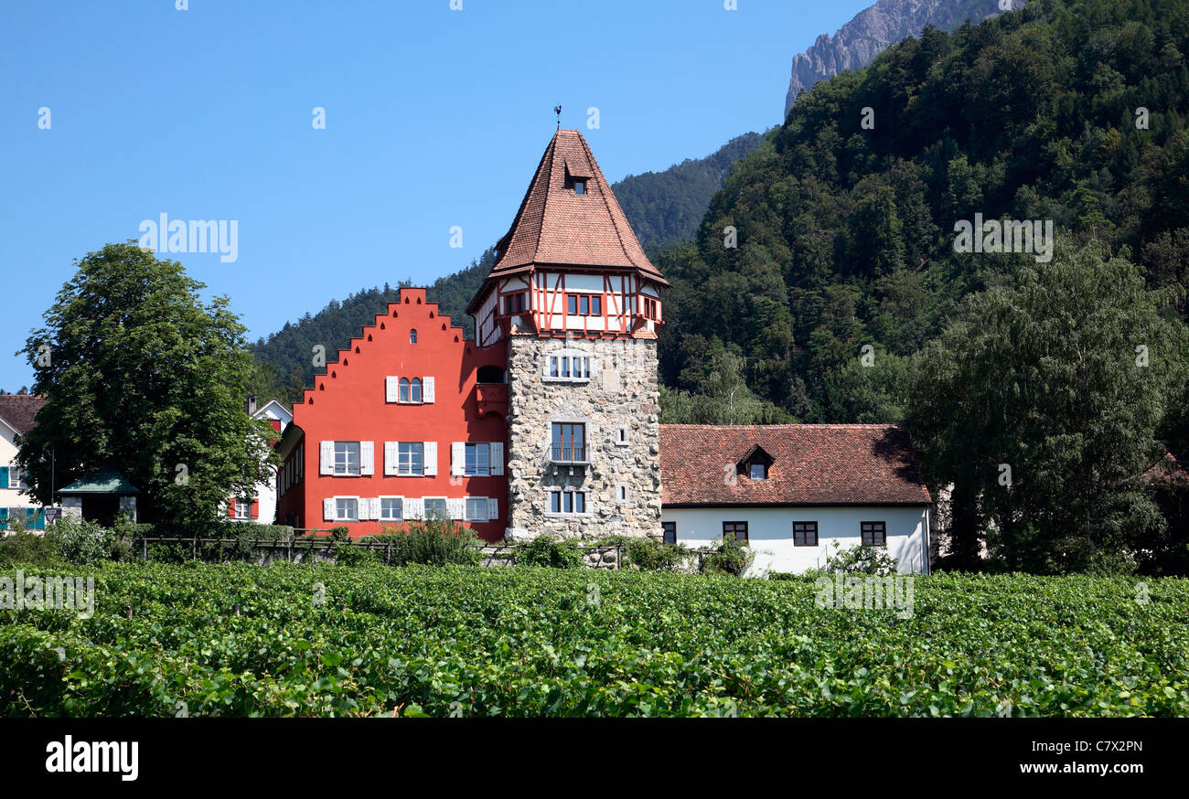 Il Liechtenstein VADUZ vigna con grand house Foto Stock