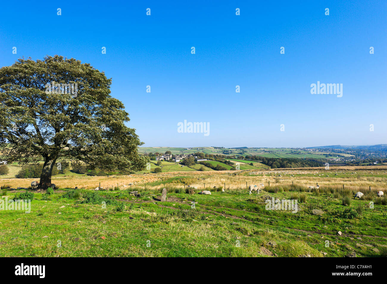 Vista su Holmfirth e la Holme Valley da Holme, West Yorkshire, Inghilterra, Regno Unito Foto Stock