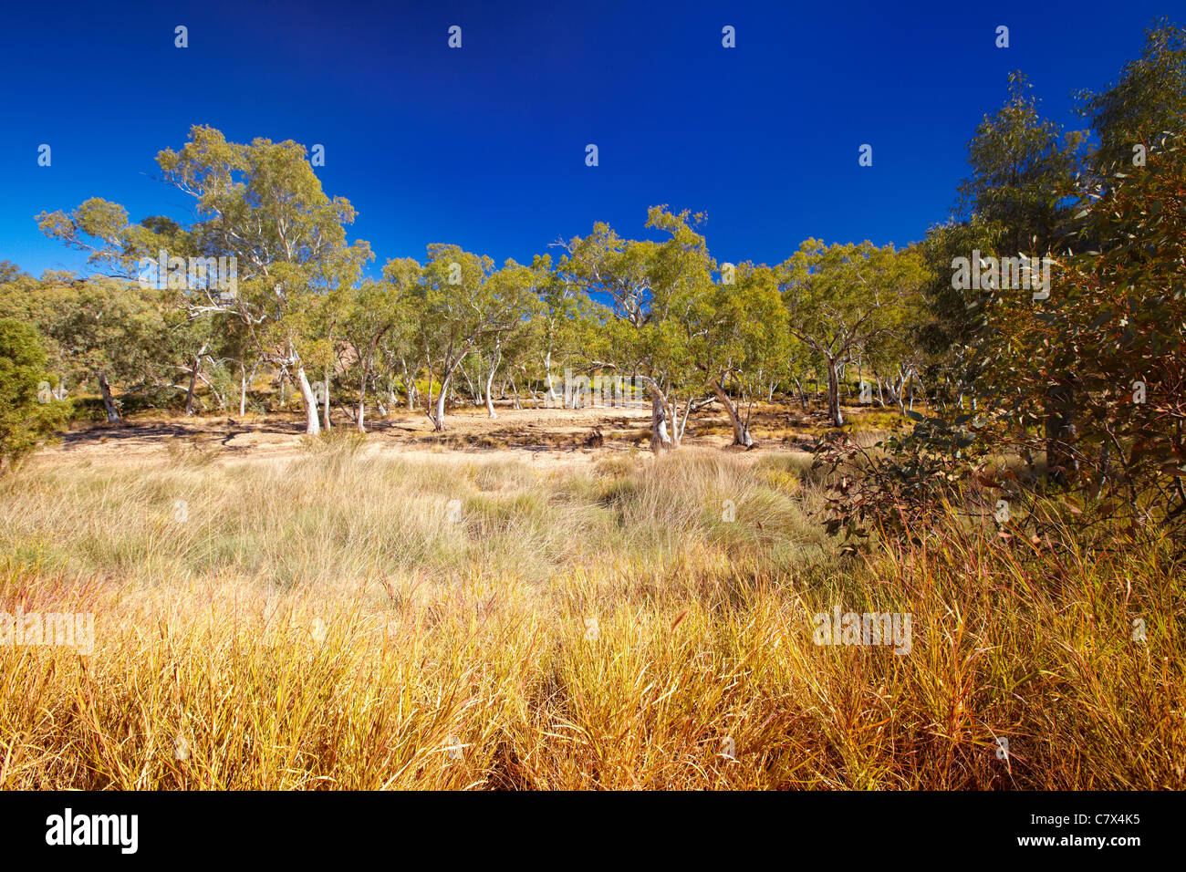 West MacDonnell National Park, il Territorio del Nord, l'Australia Foto Stock