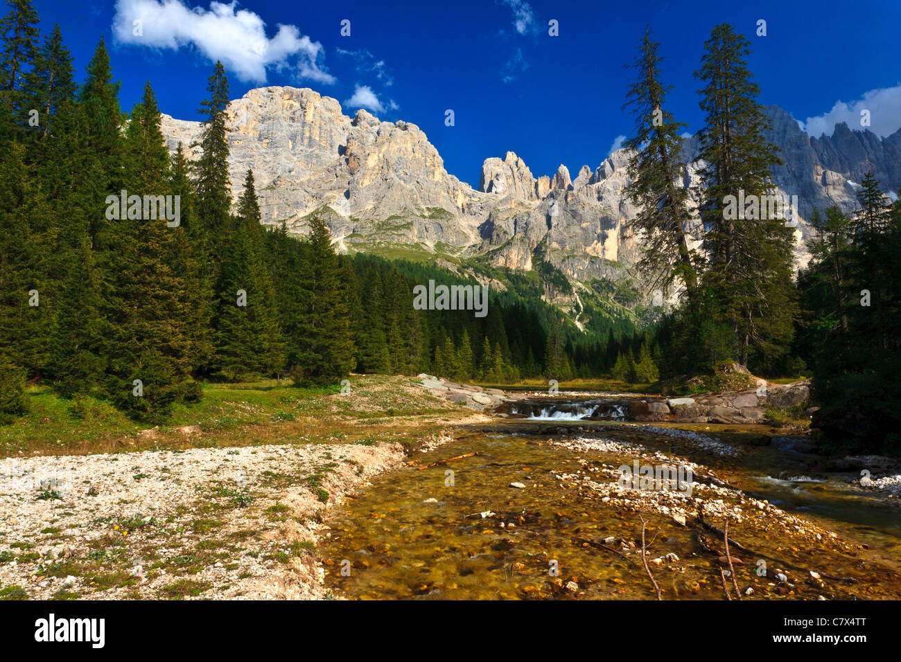 Parco Naturale Paneveggio Pale di San Martino Dolomiti Italia Foto Stock