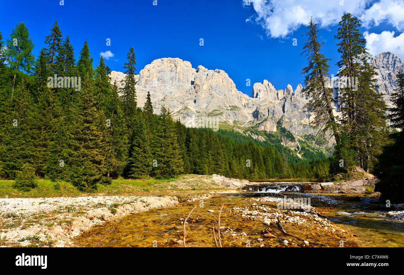 Parco Naturale Paneveggio Pale di San Martino Dolomiti Italia Foto Stock