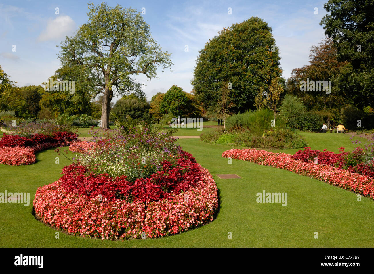 Giardini in fiore in Hyde Park Londra Foto Stock