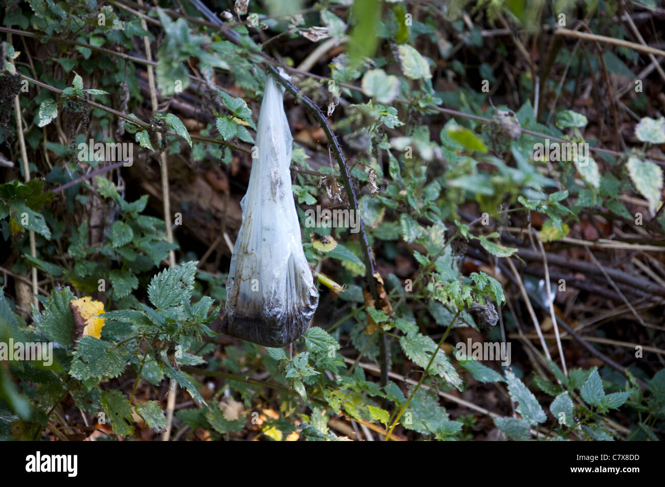 Plastica scartati dog poo scoop borsa nella boccola Foto Stock