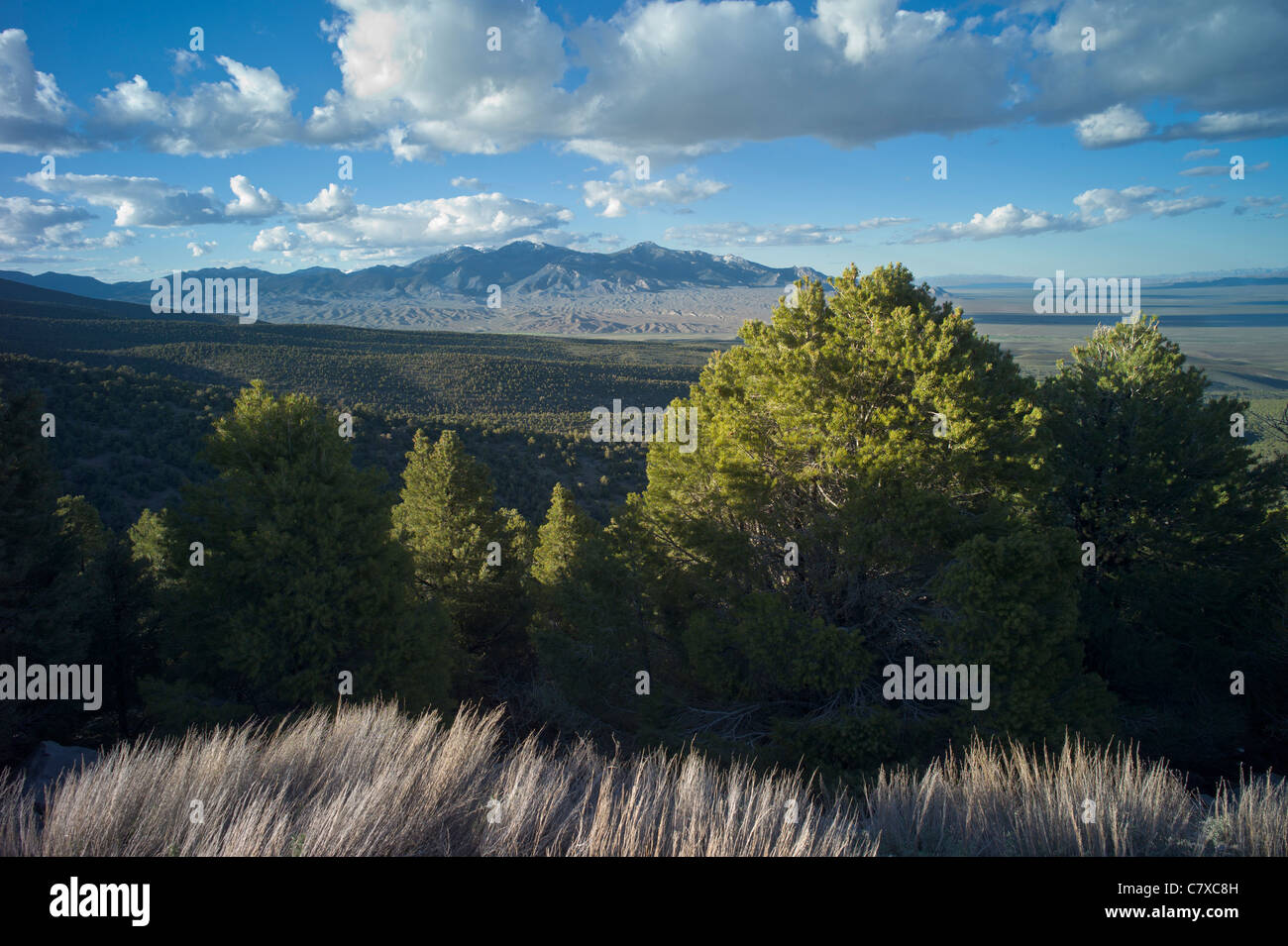 Parco nazionale Great Basin, Nevada, STATI UNITI D'AMERICA Foto Stock