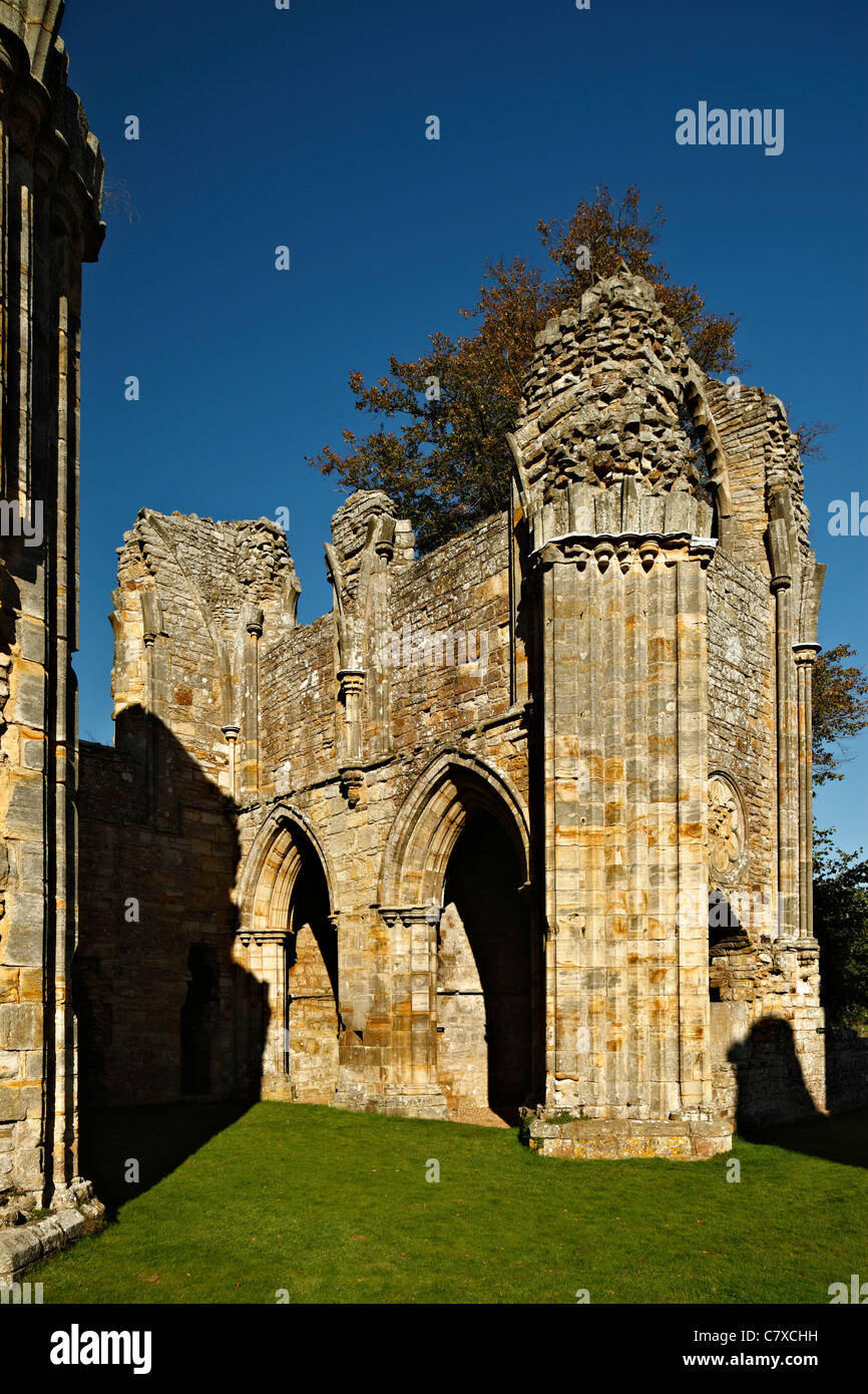 Bayham abbey rovine. Foto Stock
