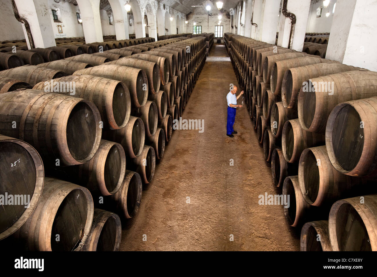 Aziende vinicole Pérez Barquero Montilla Cordova Andalusia Spagna Bodegas Pérez Barquero Montilla Córdoba Andalucía España Foto Stock