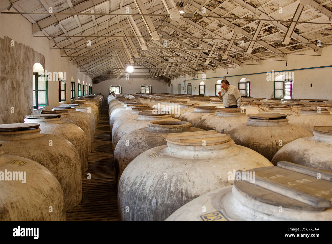 Aziende vinicole Pérez Barquero Montilla Cordova Andalusia Spagna Bodegas Pérez Barquero Montilla Córdoba Andalucía España Foto Stock