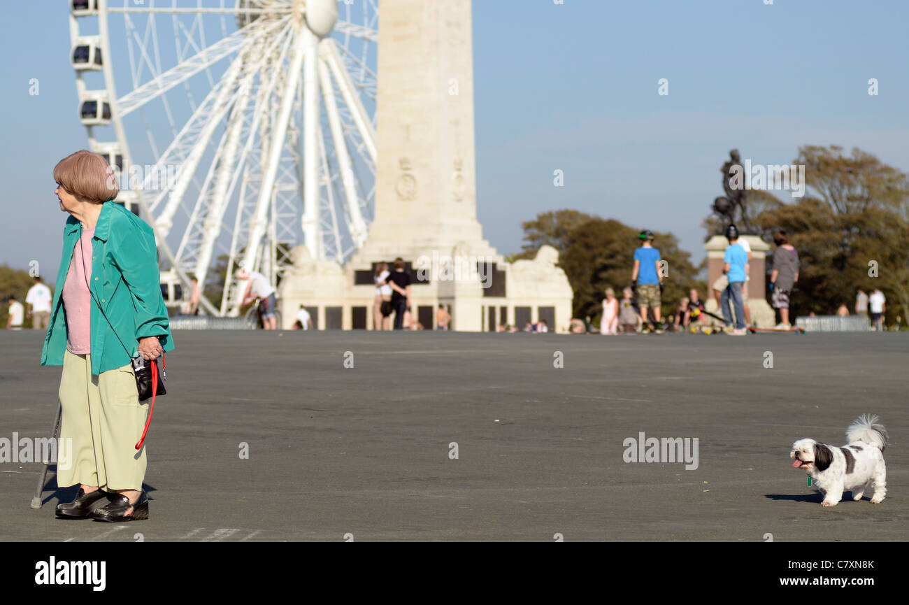 Donna anziana a piedi il suo shitsu Plymouth Hoe Devon UK Foto Stock