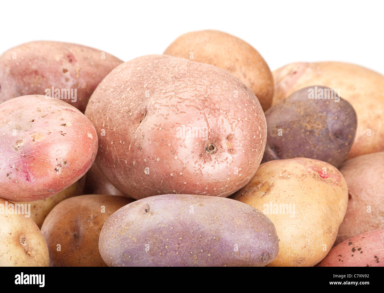 Materie vegetali di patate closeup isolato su bianco Foto Stock