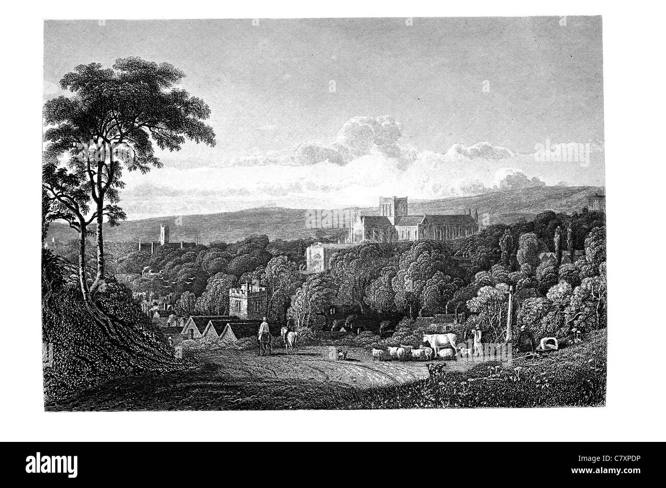 Winchester Hampshire Inghilterra city county guild hall village città di bovini di allevamento agricoltore mucca mucche cappella chiesa paesaggio cottage Foto Stock