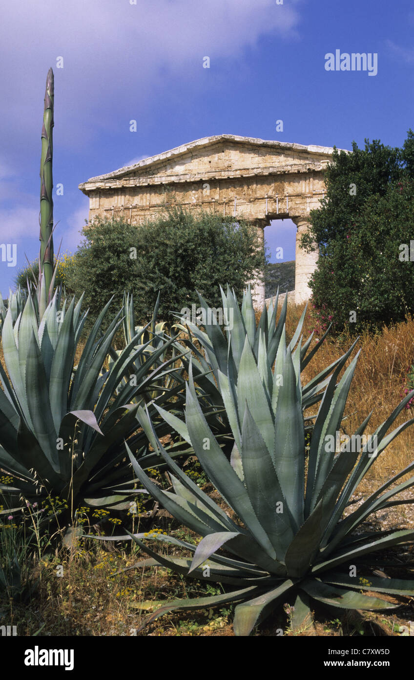 L'Italia, sicilia, Segesta: rovine del tempio greco Foto Stock