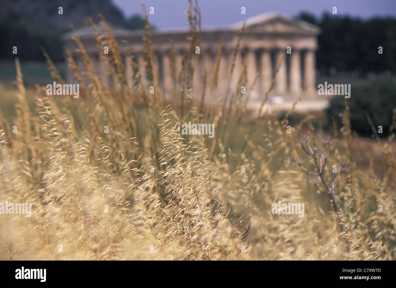 L'Italia, sicilia, Segesta: rovine del tempio greco Foto Stock