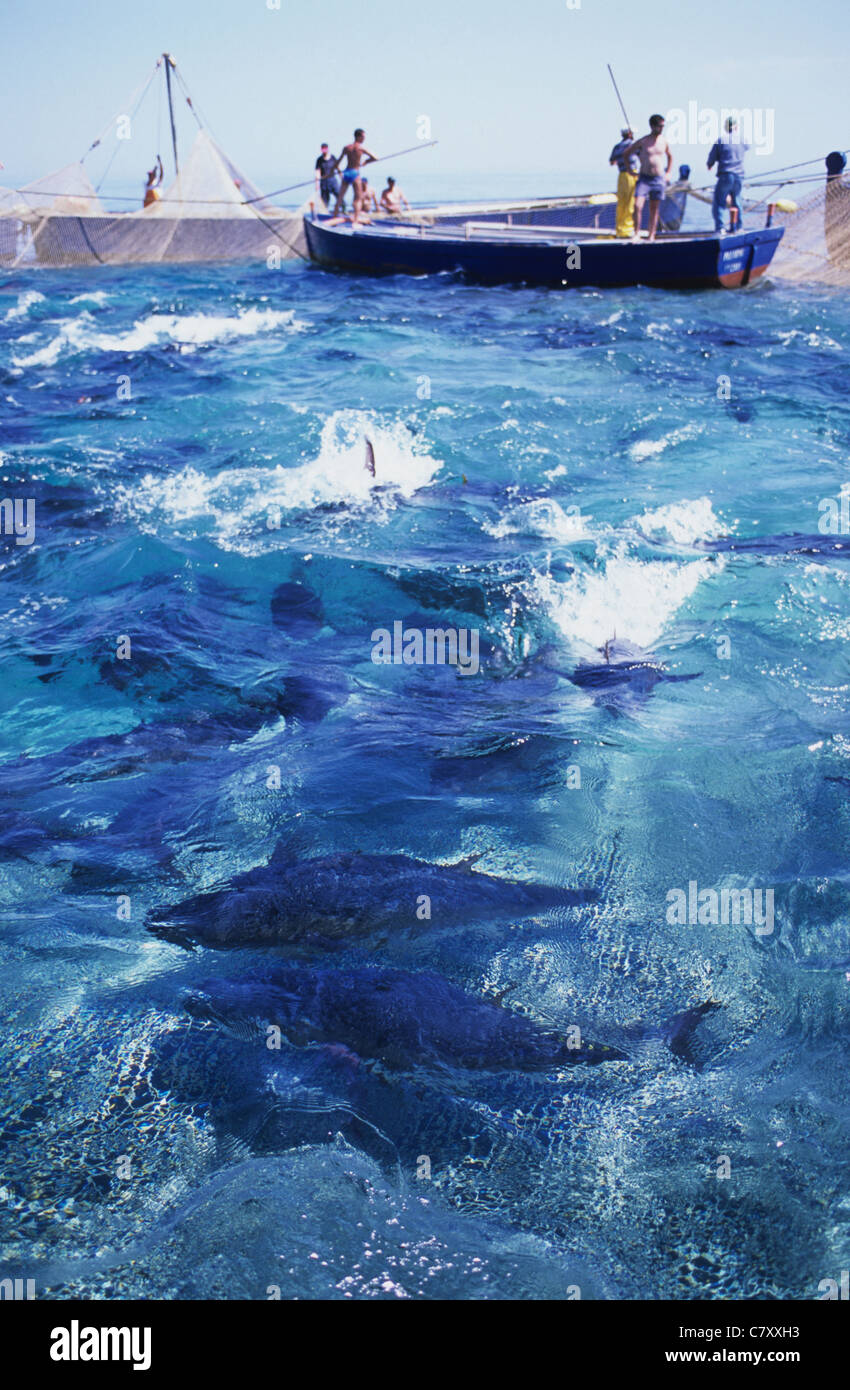 L'Italia, in Sicilia. La pesca del tonno (mattanza Foto stock - Alamy