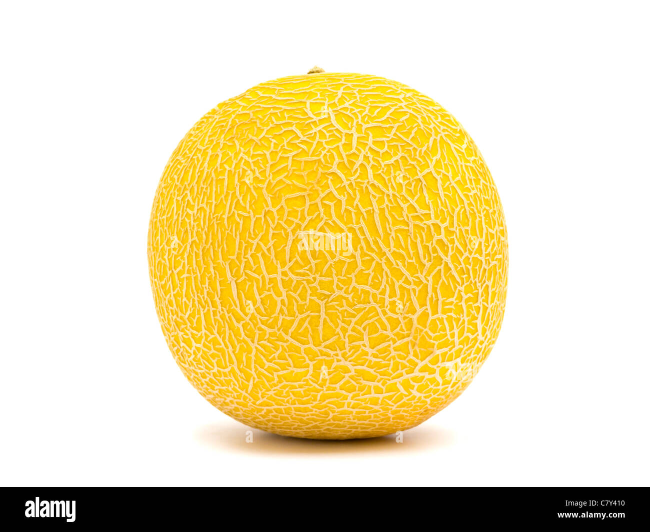 Il melone Cantalupo da vicino Foto Stock