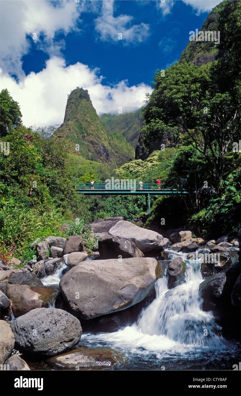 Iao ago in Iao Valley State Park, Maui, Hawaii. Foto Stock