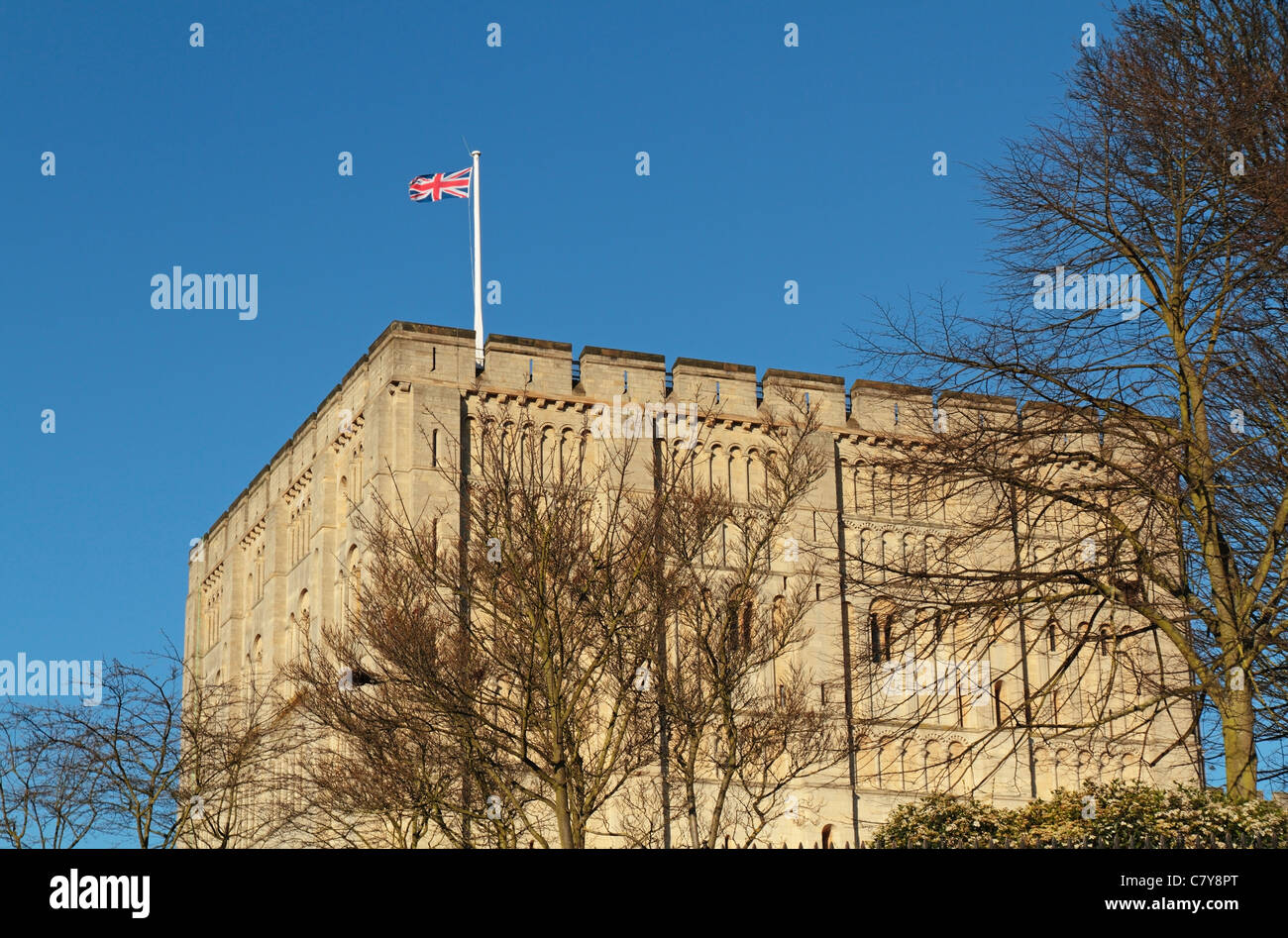 Norwich Castle, Castle Meadow, Norwich, Norfolk, Inghilterra, Regno Unito Foto Stock