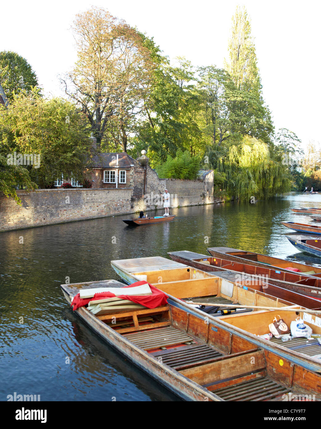 Punting sul fiume Cam Cambridge Regno Unito Foto Stock