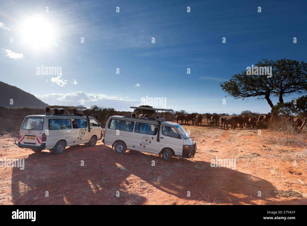 Due minibus Safari guardando un branco di elefanti, parco nazionale orientale di Tsavo, Kenya Foto Stock