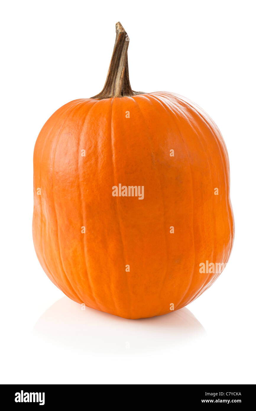Zucca matura isolata su sfondo bianco Foto Stock