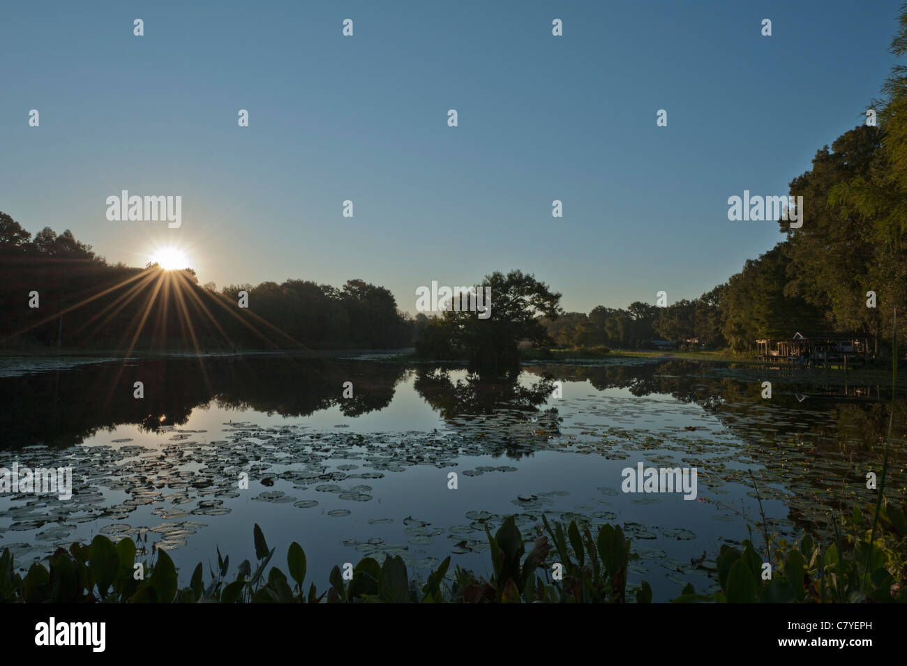 Sunrise Su Haines Creek in Lake County Leesburg, Florida USA Foto Stock