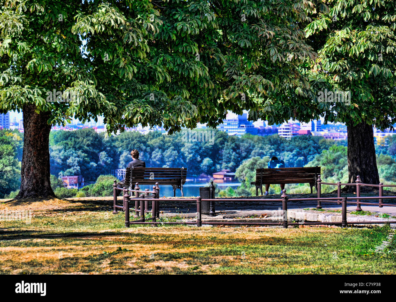 La solitudine - due uomini sotto gli alberi Foto Stock