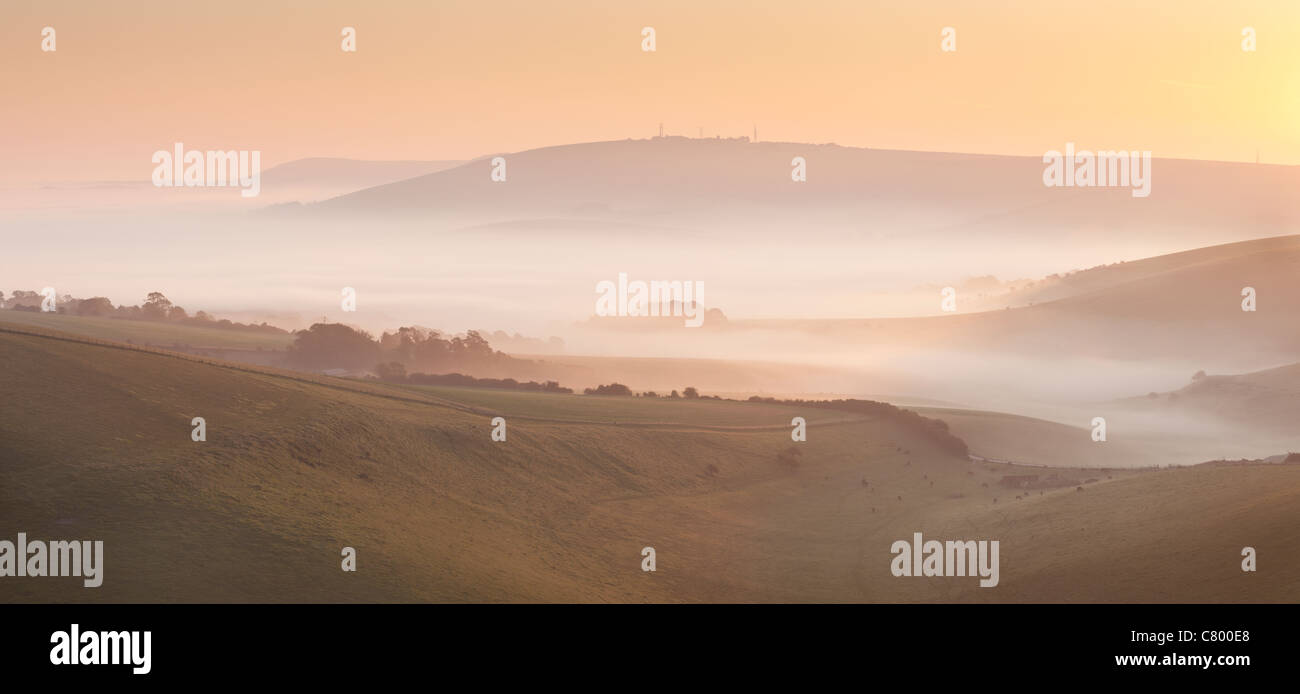 Prime nebbie autunnali in Steyning Bowl, South Downs National Park, West Sussex, in Inghilterra, Regno Unito Foto Stock