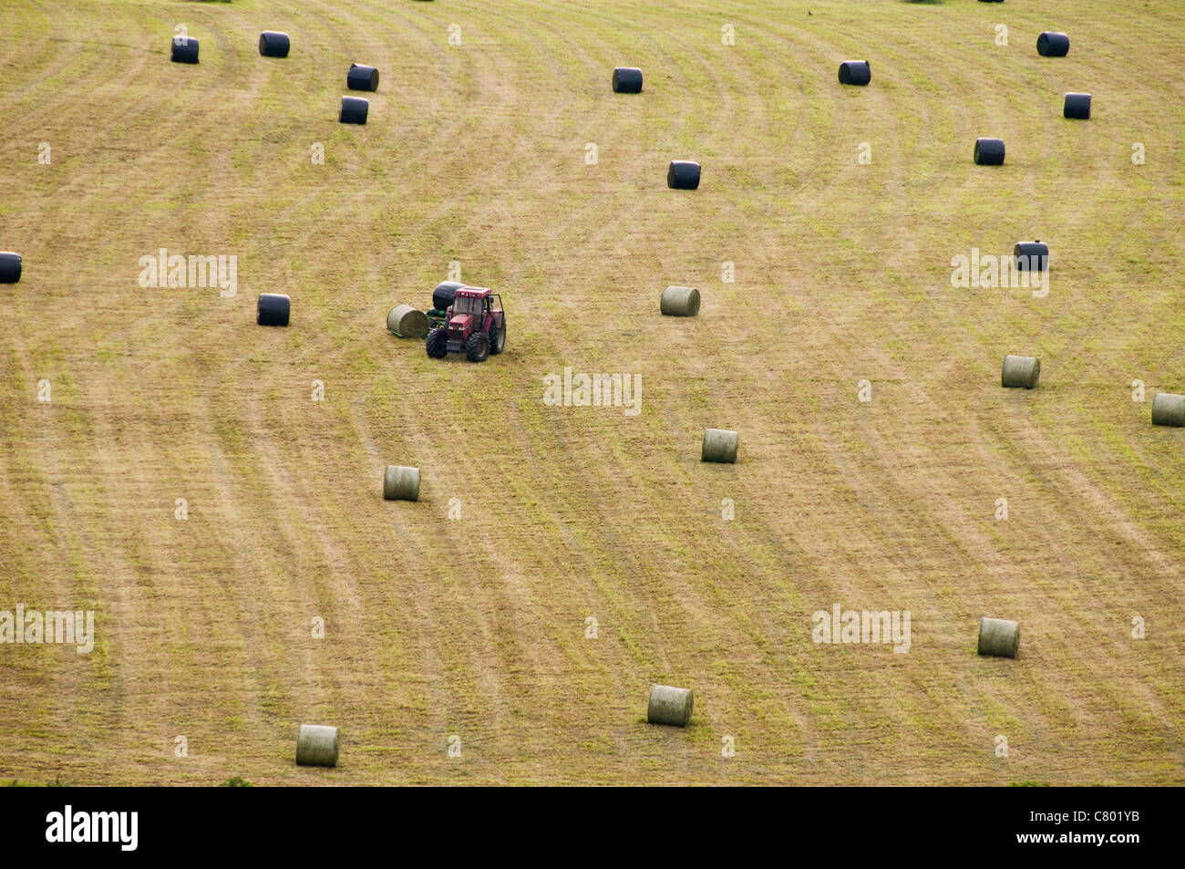 Agricoltore fare balle di fieno in un campo, Stroud, Gloucestershire, Cotswolds, REGNO UNITO Foto Stock