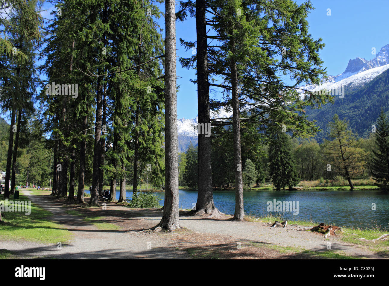 Lacs Des Gaillands Chamonix-Mont-Blanc in Alta Savoia departement nella regione Rhône-Alpes di sud-est della Francia. Foto Stock