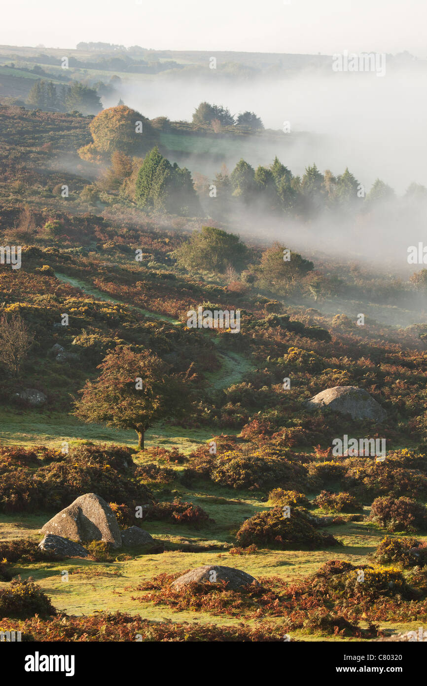 Nebbia di mattina su Dartmoor in Devon Foto Stock