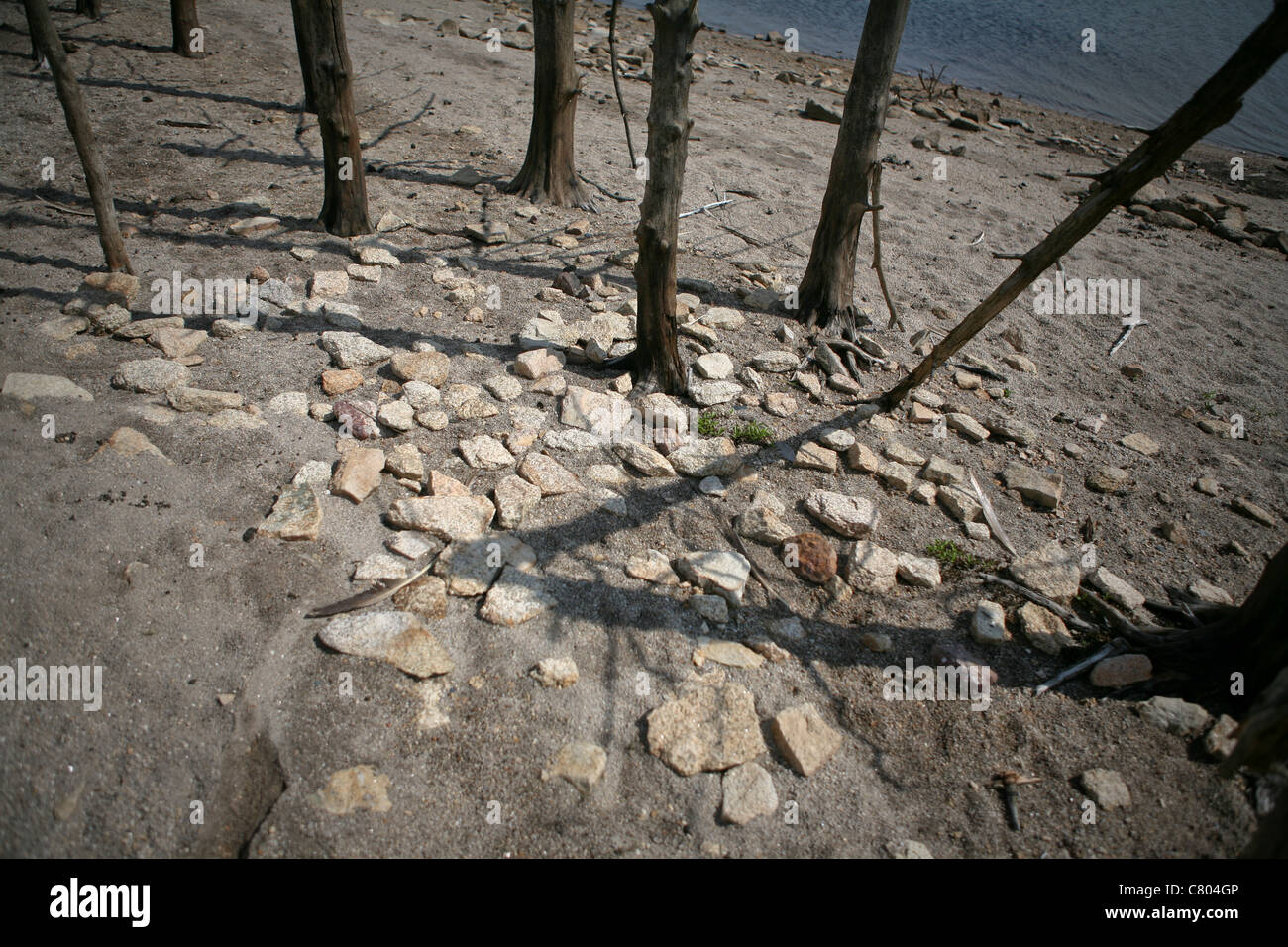 Dead tronchi di alberi e pietre sparse su un Sandy Lake Shore. Foto Stock